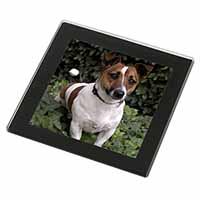 Jack Russell Terrier Dog Black Rim High Quality Glass Coaster