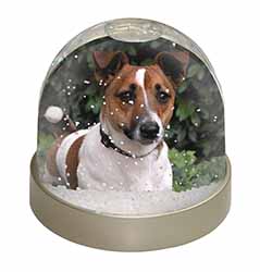 Jack Russell Terrier Dog Snow Globe Photo Waterball