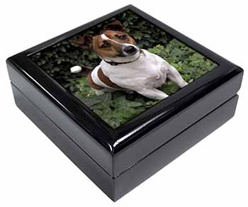 Jack Russell Terrier Dog Keepsake/Jewellery Box