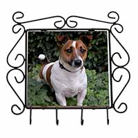 Jack Russell Terrier Dog Wrought Iron Key Holder Hooks