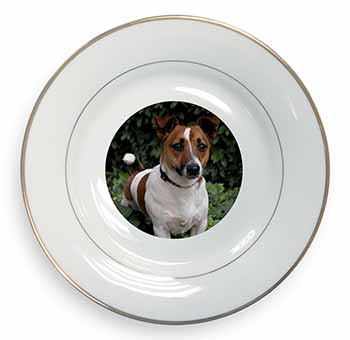 Jack Russell Terrier Dog Gold Rim Plate Printed Full Colour in Gift Box