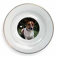 Jack Russell Terrier Dog Gold Rim Plate Printed Full Colour in Gift Box