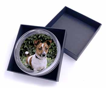 Jack Russell Terrier Dog Glass Paperweight in Gift Box