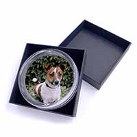 Jack Russell Terrier Dog Glass Paperweight in Gift Box