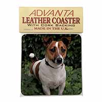 Jack Russell Terrier Dog Single Leather Photo Coaster