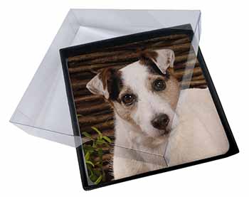 4x Jack Russell Terrier Dog Picture Table Coasters Set in Gift Box