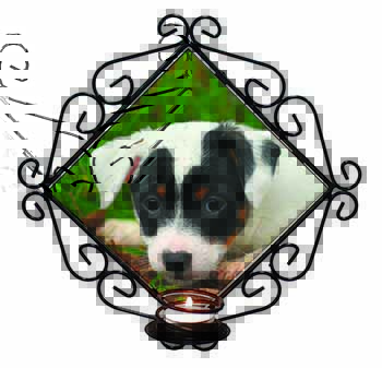 Jack Russell Puppy Dog Wrought Iron Wall Art Candle Holder
