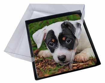 4x Jack Russell Puppy Dog Picture Table Coasters Set in Gift Box