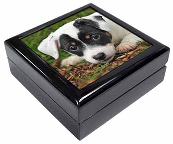 Jack Russell Puppy Dog Keepsake/Jewellery Box