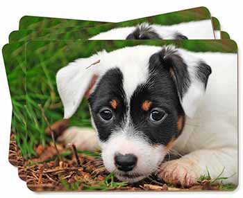 Jack Russell Puppy Dog Picture Placemats in Gift Box