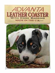 Jack Russell Puppy Dog Single Leather Photo Coaster