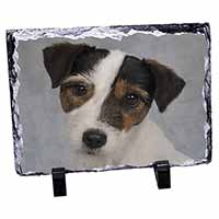 Jack Russell Terrier Dog, Stunning Animal Photo Slate
