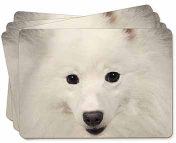 Japanese Spitz Dog Picture Placemats in Gift Box