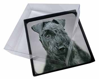 4x Kerry Blue Terrier Dog Picture Table Coasters Set in Gift Box