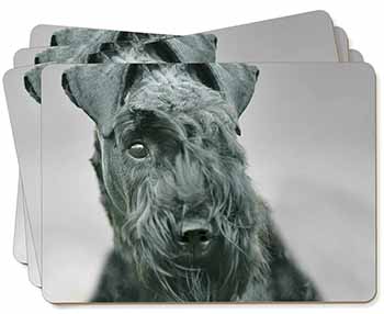 Kerry Blue Terrier Dog Picture Placemats in Gift Box