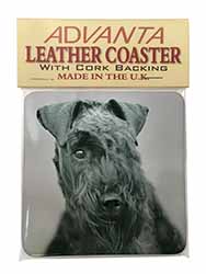 Kerry Blue Terrier Dog Single Leather Photo Coaster