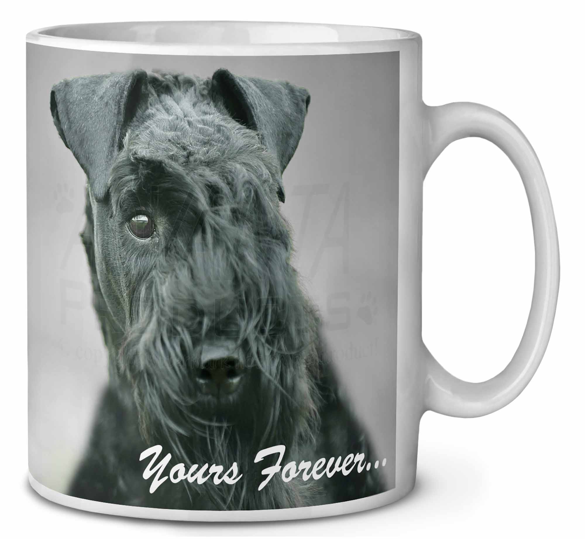 Kerry Blue Terrier 'Yours Forever' Coffee Mug Christmas Stocking , ADKB1yMG Kerry Blue Terrier 'Yours Forever' Coffee Mug Christmas Stocking , ADKB1yMG