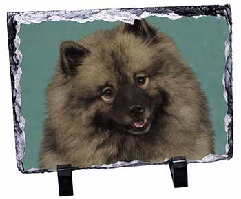 Keeshond Dog, Stunning Photo Slate