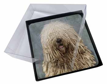 4x Komondor Dog Picture Table Coasters Set in Gift Box