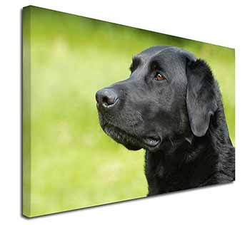 Black Labrador Dog Canvas X-Large 30"x20" Wall Art Print