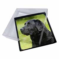 4x Black Labrador Dog Picture Table Coasters Set in Gift Box