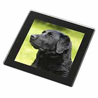 Black Labrador Dog Black Rim High Quality Glass Coaster