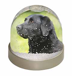 Black Labrador Dog Snow Globe Photo Waterball