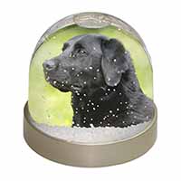 Black Labrador Dog Snow Globe Photo Waterball