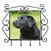 Black Labrador Dog Wrought Iron Key Holder Hooks