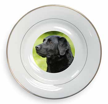 Black Labrador Dog Gold Rim Plate Printed Full Colour in Gift Box