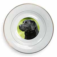 Black Labrador Dog Gold Rim Plate Printed Full Colour in Gift Box