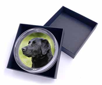 Black Labrador Dog Glass Paperweight in Gift Box