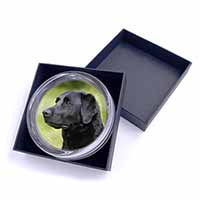 Black Labrador Dog Glass Paperweight in Gift Box