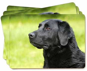Black Labrador Dog Picture Placemats in Gift Box