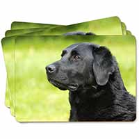 Black Labrador Dog Picture Placemats in Gift Box