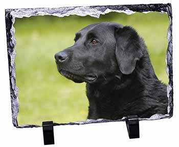 Black Labrador Dog, Stunning Photo Slate