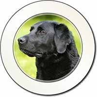 Black Labrador Dog Car or Van Permit Holder/Tax Disc Holder