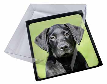 4x Black Labrador Puppy Picture Table Coasters Set in Gift Box