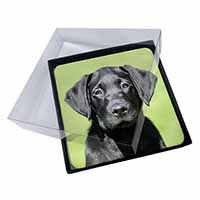 4x Black Labrador Puppy Picture Table Coasters Set in Gift Box