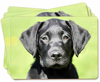 Black Labrador Puppy Picture Placemats in Gift Box