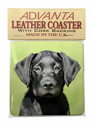 Black Labrador Puppy Single Leather Photo Coaster