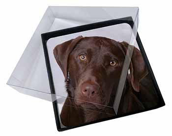 4x Chocolate Labrador Picture Table Coasters Set in Gift Box