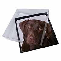 4x Chocolate Labrador Picture Table Coasters Set in Gift Box