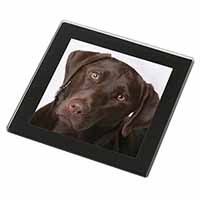Chocolate Labrador Black Rim High Quality Glass Coaster