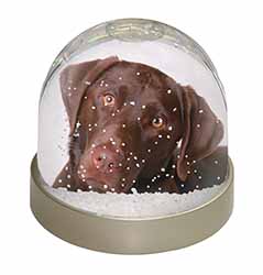 Chocolate Labrador Snow Globe Photo Waterball