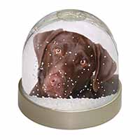 Chocolate Labrador Snow Globe Photo Waterball
