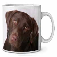 Chocolate Labrador Ceramic Coffee Mug/Tea Cup