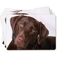 Chocolate Labrador Picture Placemats in Gift Box