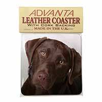 Chocolate Labrador Single Leather Photo Coaster