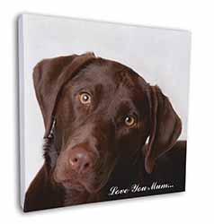 Chocolate Labrador 